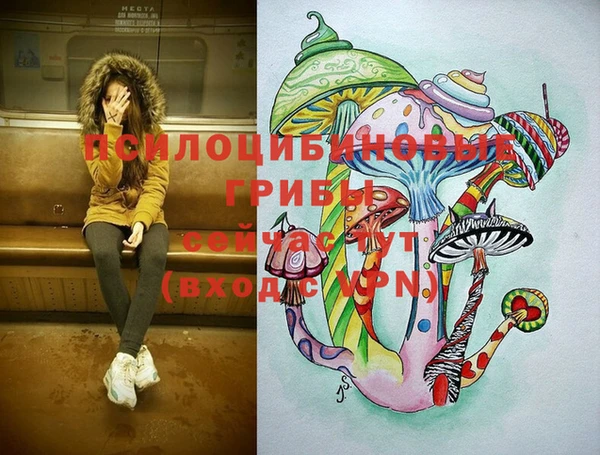 альфа пвп Беломорск